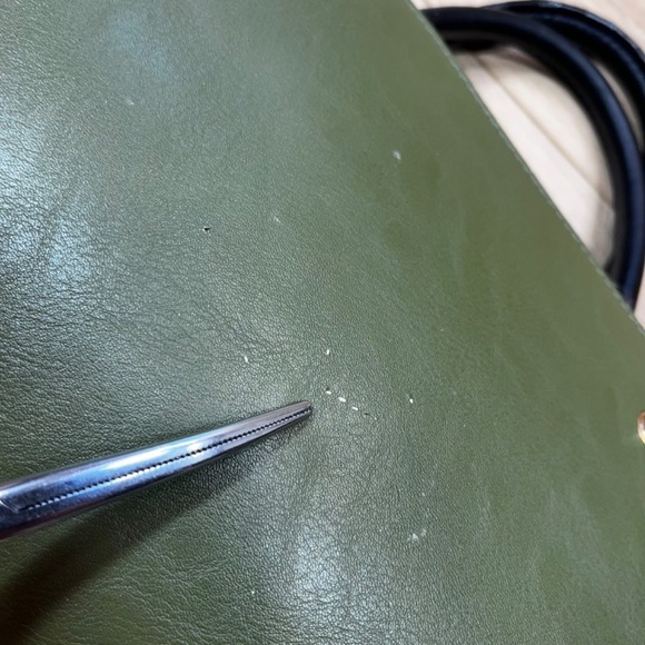 Betsey Johnson handbag Green w/ Leopard Print Black Handle Rose Lining Designer - Picture 5 of 16